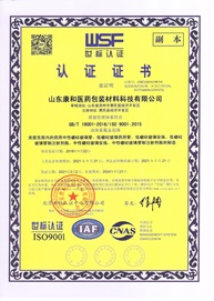 ISO 9001