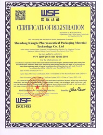 ISO 9001(English version)