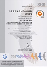 ISO 15378 中文