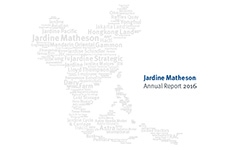 JM-Annual report 2016
