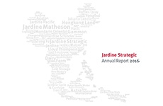JS-Annual report 2016