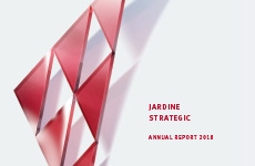 JS-Annual report 2018